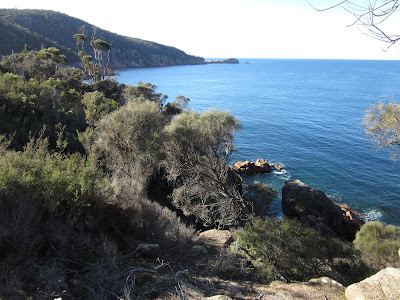 Sleepy Bay. Freycinet, en Tasmania Sleepy Bay. Freycinet, en Tasmania