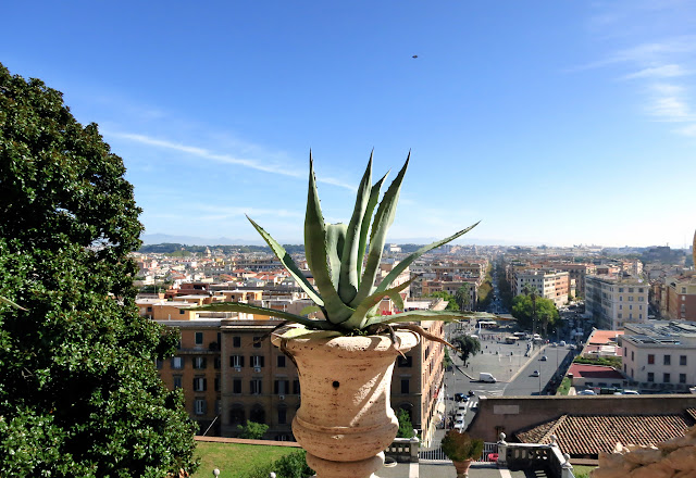 View from Vatican Museums