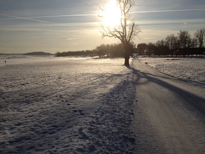 promenad+soligt+%283%29 - Powerwalk i solsken