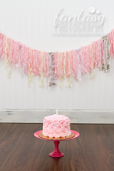 cake smash photographers in winston salem nc cake smash photographers in winston salem nc