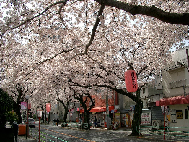 The-Bucket-List-Tokyo Places-to-Visit-Tokyo