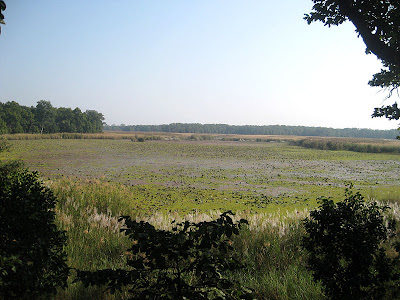 Rani taal in Shuklaphanta Wildlife Reserve Rani taal