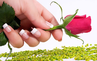 Happy Rose Day 2017 Images & Wallpaper Happy Rose Day 2017 Images & Wallpaper