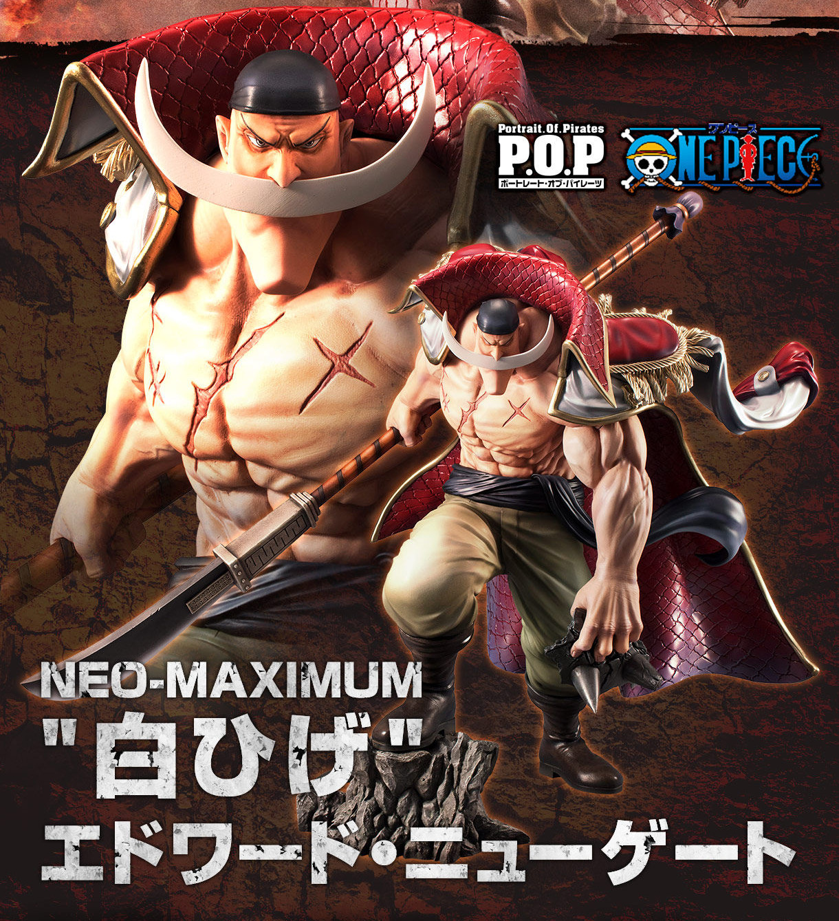 pop maximum edward newgate