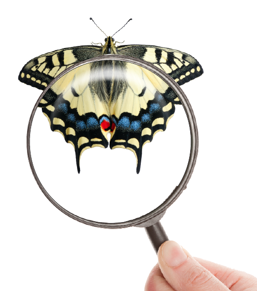 Imagine, Explore, Create...Art Matters at HCA Through the looking