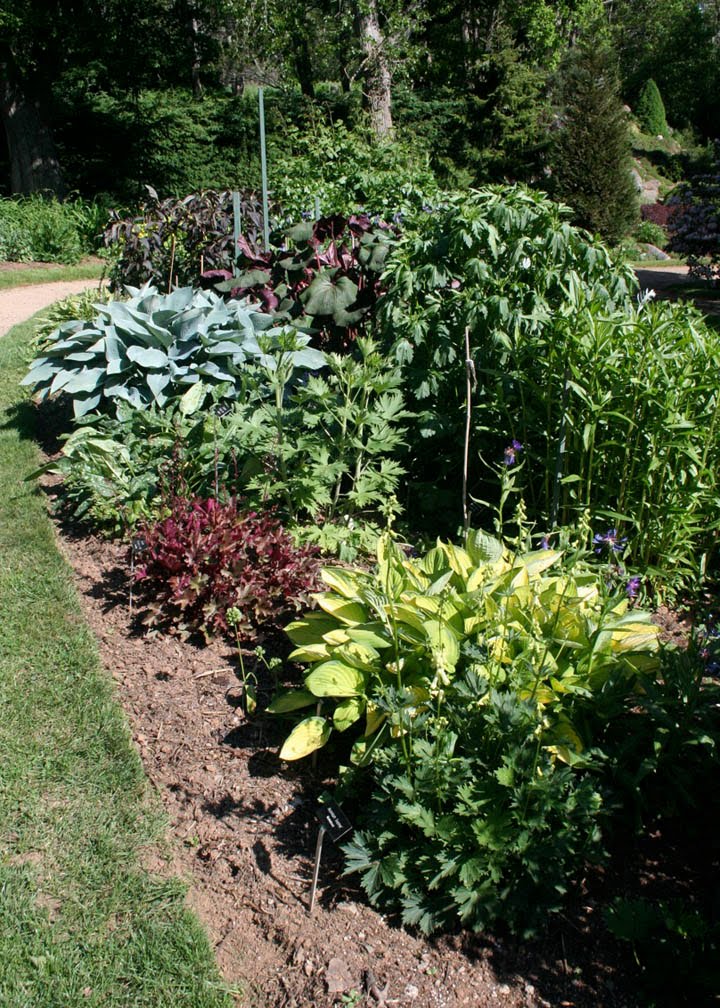 Bloomingwriter Gardening in Nova Scotia The Very Historic Gardens...A