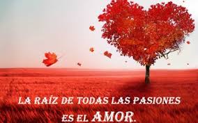 imagenes de amor, frases, dedicatorias para compartir con tu novio, pareja imagenes de amor, frases, dedicatorias para compartir con tu novio, pareja