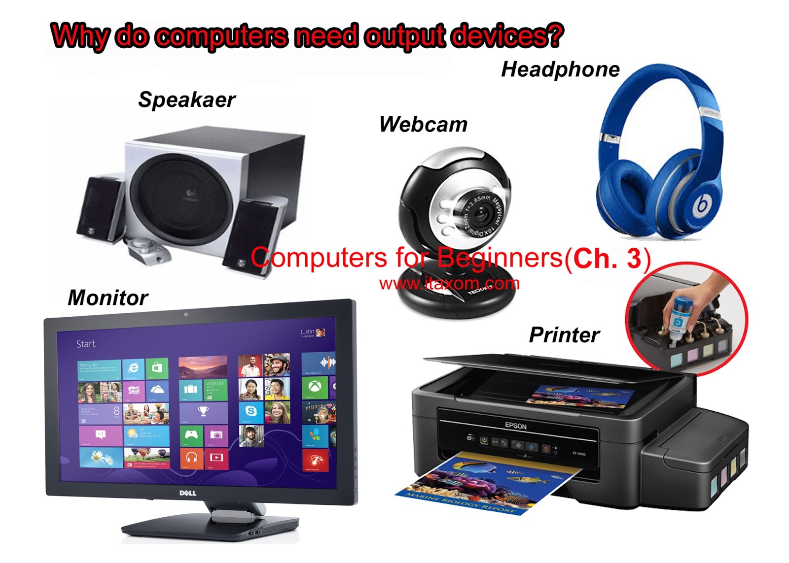 it axom why computers need an output devices