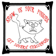 CATS ONLY CHALLENGE
