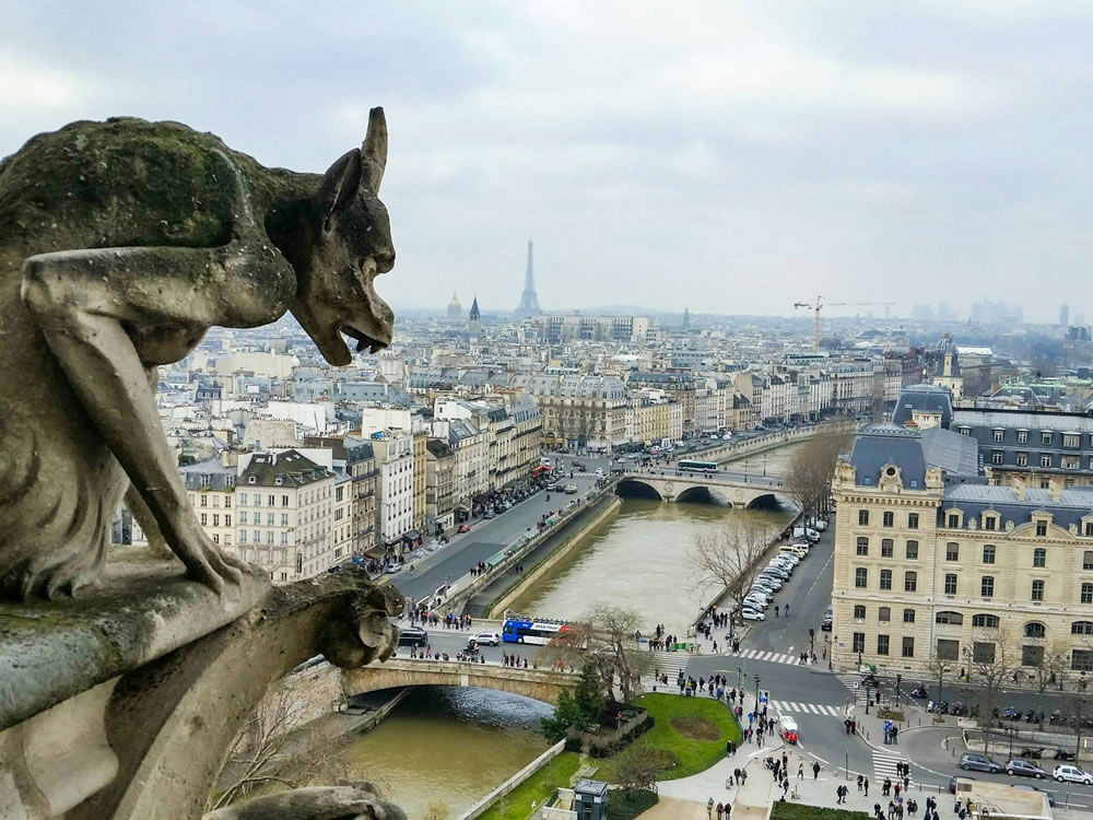 Catedral Notre Dame Paris