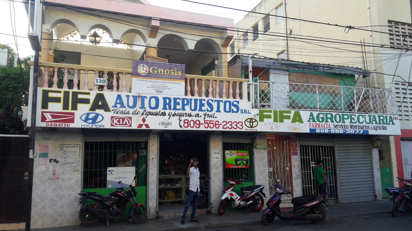 Fifa Auto Repuestos
