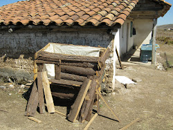 volunteering central america coop chicken finally finished pen got