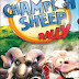 Champion Sheep Rally 