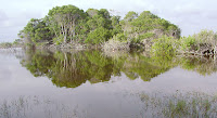 The Wetlands, Isabela Island, Galapagos