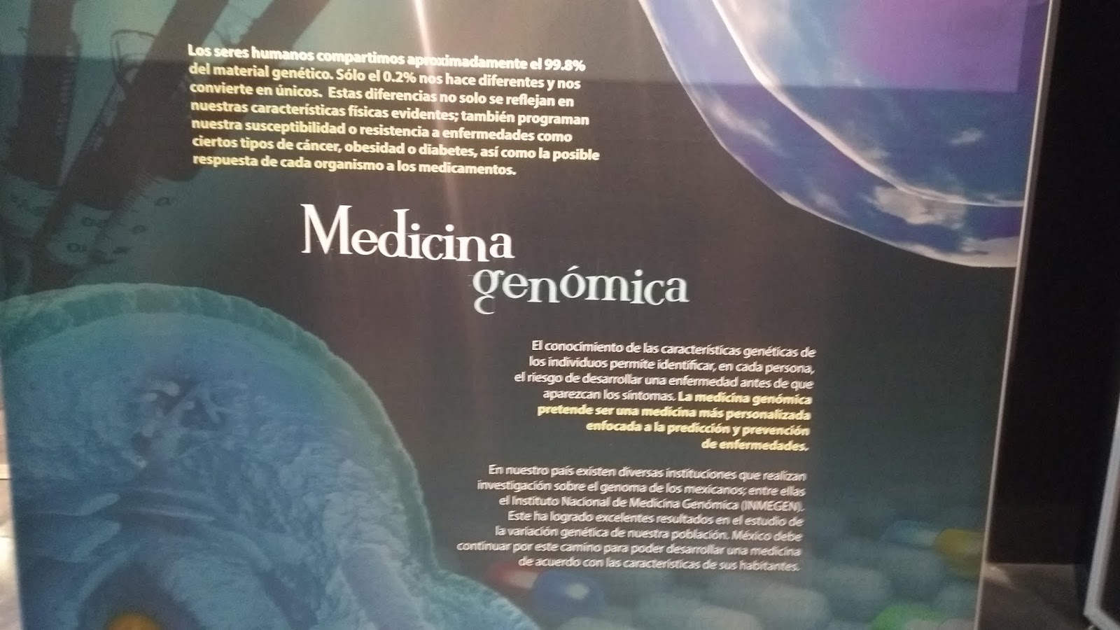 Dime De Donde Vienes Y Te Dire Quien Eres Letra Dime tus genes y te diré quien eres
