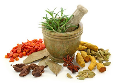 RAMUAN HERBAL ALAMI OBAT EJAKULASI DINI RAMUAN HERBAL ALAMI OBAT EJAKULASI DINI