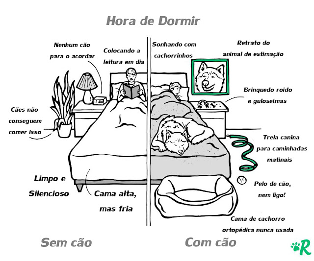 Sonhando com OS shih tzu