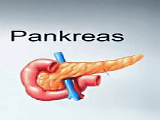 Gambar Pankreatitis - Penyebab, Gejala Dan Cara Mengobati Pankreatitis