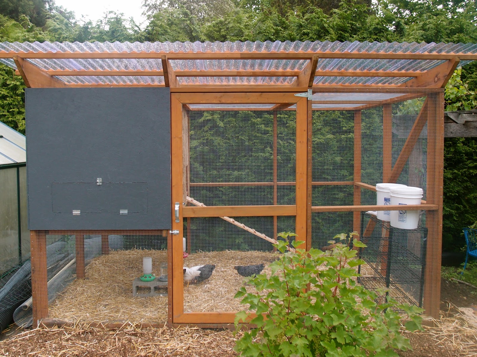 The Chicken Coop Is Done…Enough. | Northwest Edible Life