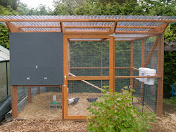 chicken plans coop run runs build yard plan easy simple garden enough done enclosed nwedible want hen example edible side