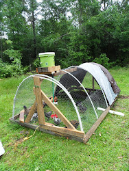 chicken pvc tractors tractor hoop homestead easy sunflower hill moving