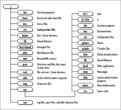 Linux Filesystem Hierarchy