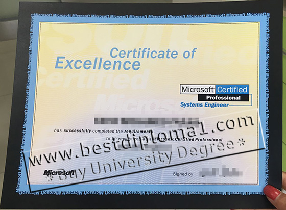 smile7788 online microsoft certificate of excellence certificate microsoft certificate online