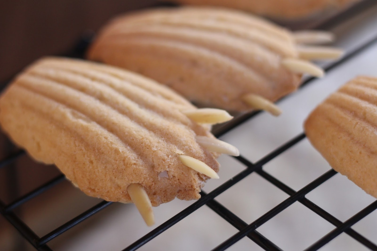 Vanilla Almond Polar Bear Claw Cookies Diary of a Mad Hausfrau