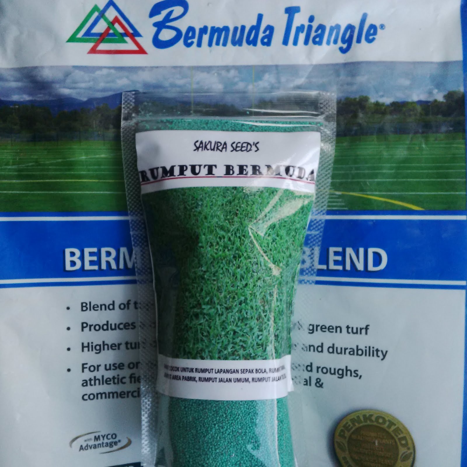 pusat biji benih rumput bermuda rumput taman lapangan pusat biji benih rumput bermuda rumput taman lapangan