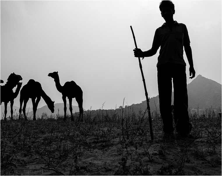 Emerging Photographers, Best Photo of the Day in Emphoka by Rahul Saraswat Emerging Photographers, Best Photo of the Day in Emphoka by Rahul Saraswat