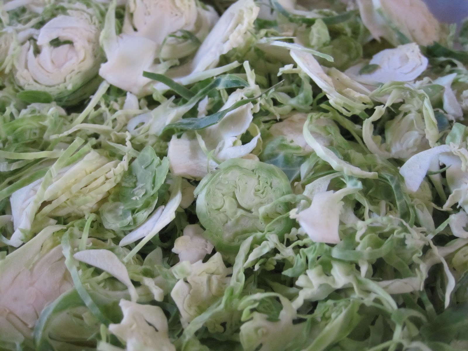 diet schmiet! Salad of Brussels Sprouts, Green Beans & Queso Fresco