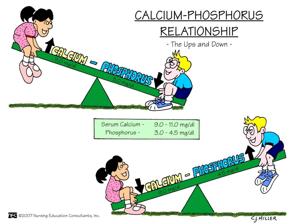 Calcium Phosphorus Relationship ABC Medicine