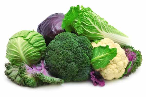 vegetais que melhoram a tpm como acabar com a tpm