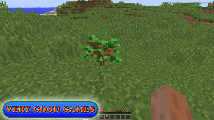 Minecraft game screenshot - a sapling