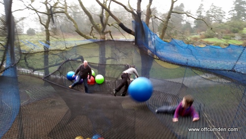 Treetop nets Lake District