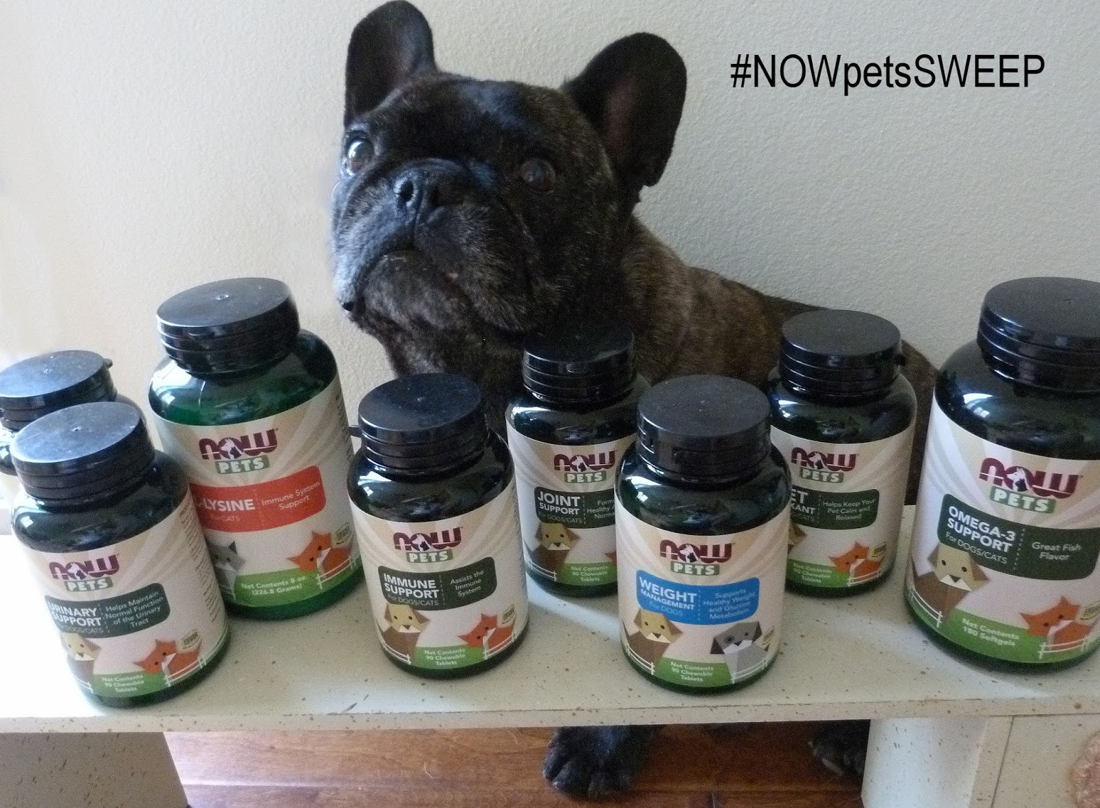 Two French Bulldogs NOW Pets Supplements NOWpetsSweep Ad