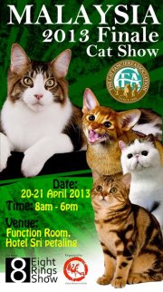 Rumah Bata Merah...: Malaysia 2013 Finale Cat Show / 8 AB / HHP Ring