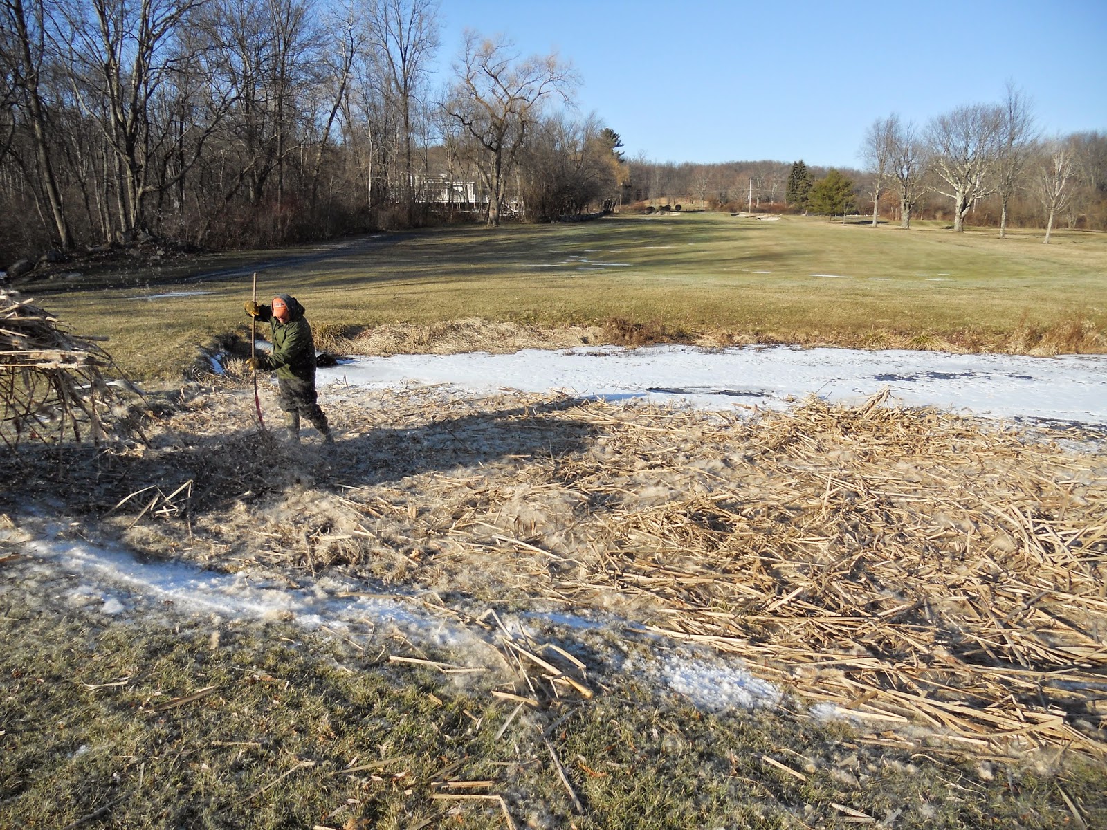 Mahopac Golf & Beach Club Greens Department