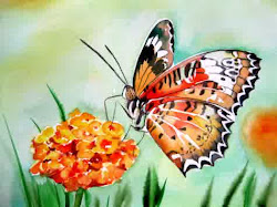 paintings watercolor animal painting butterfly watercolour kilic butterflies meltem easy animals flowers artist