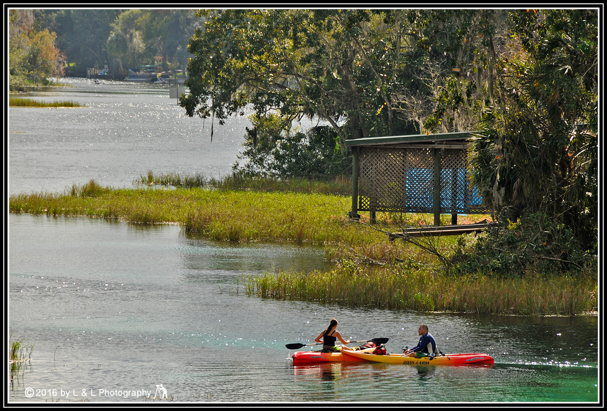 Ocala, Central Florida & Beyond Kayaking at Rainbow Springs December