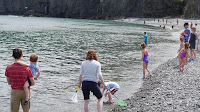 Fuente: http://www.cbc.ca/news/canada/newfoundland-labrador/capelin-roll-in-1.4207115 Una pesca familiar