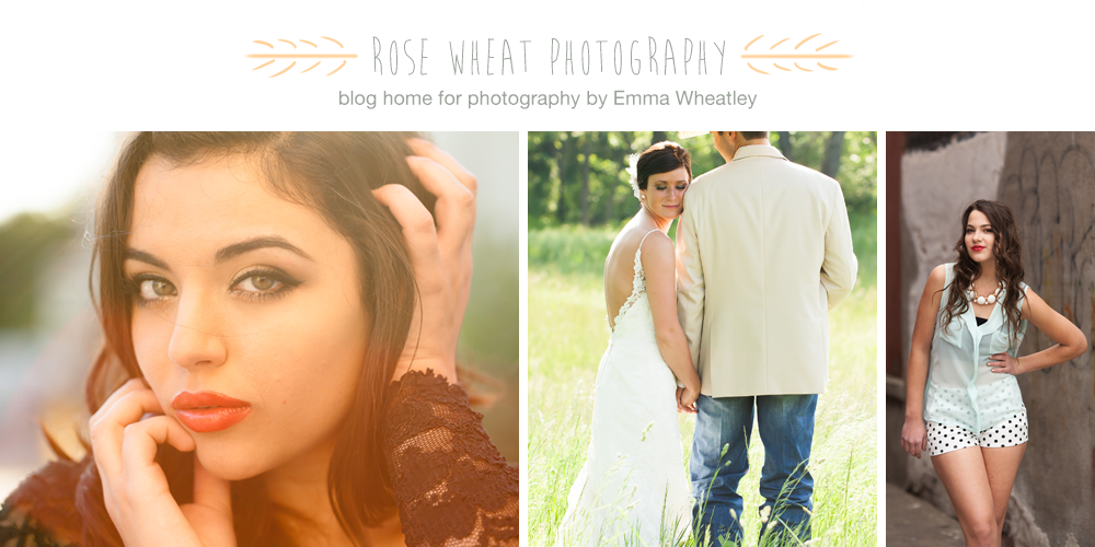 rose wheat photography | blog