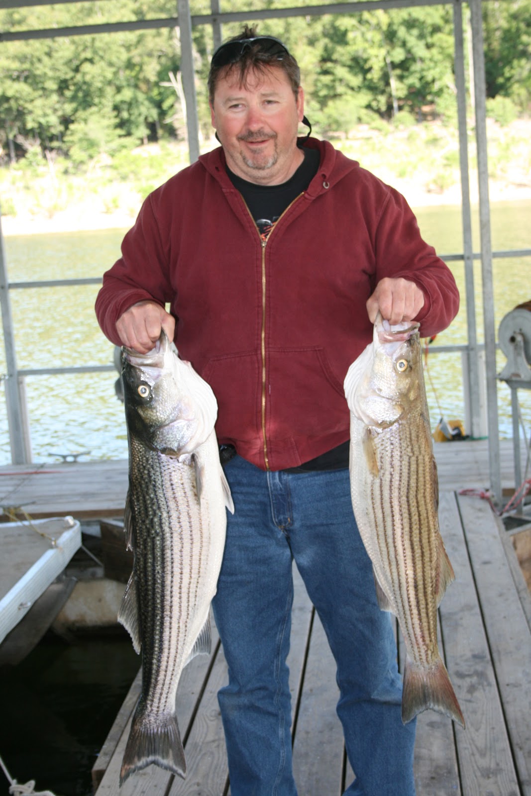 Hummingbird Hideaway Resort on Norfork Lake Norfork Lake Fishing Report