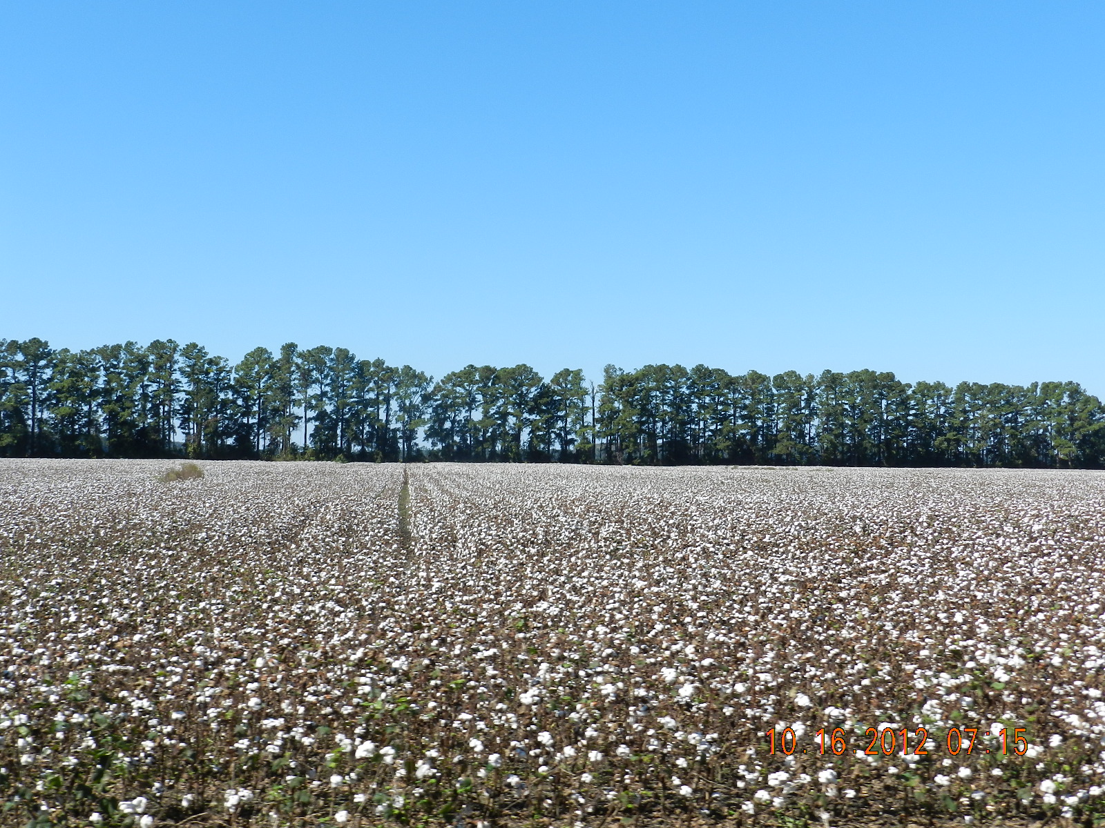Streamin with Joe and Buddy Chocowinity, North Carolina