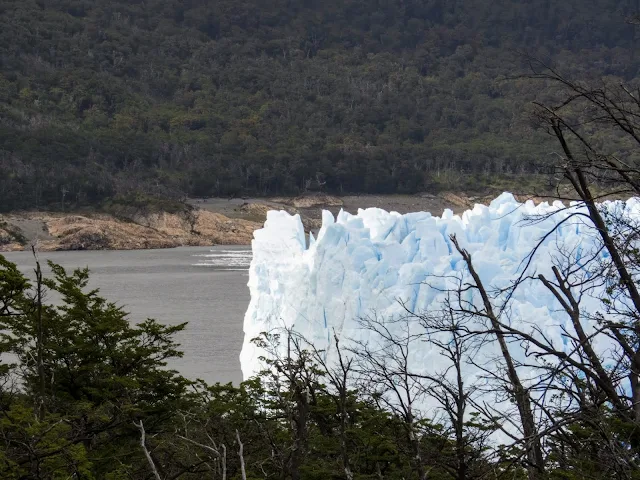 Perito Moreno Glacier viewed through the trees in Argentina