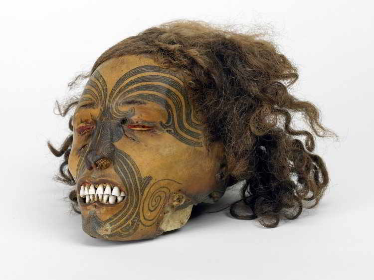 Cabeza de un maori tatuado