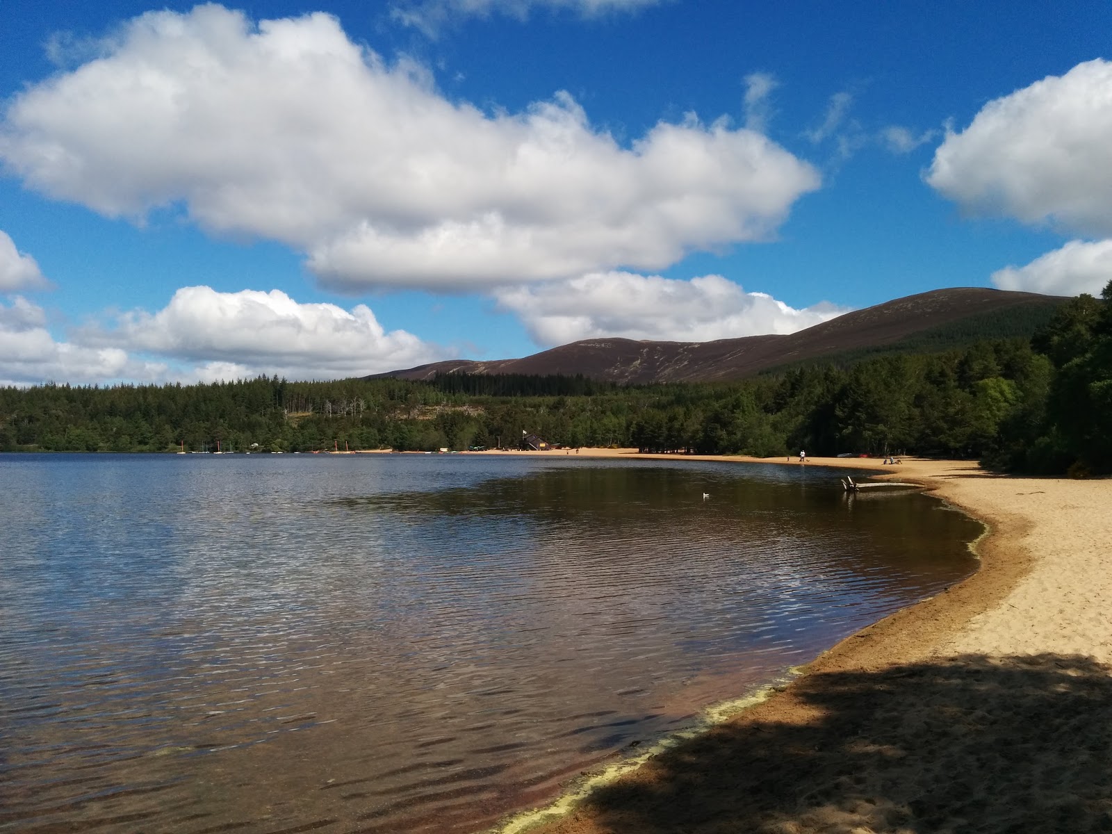 Wow That S Cold Open Water Swimming In Loch Morlich