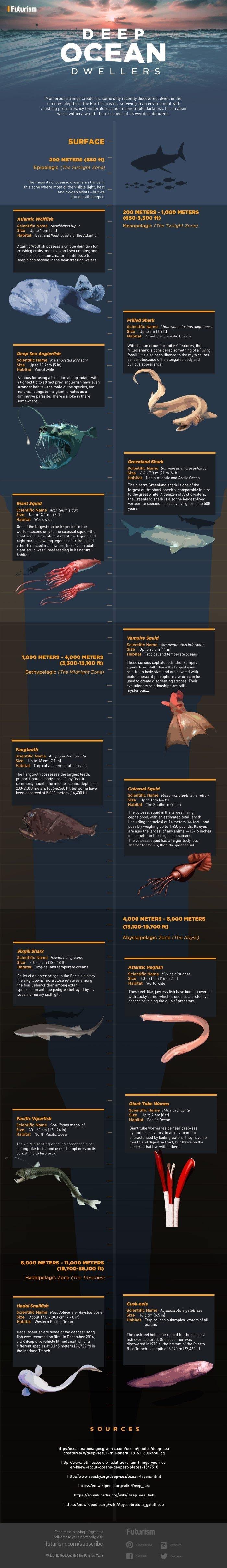 Deep Sea Creatures #infographic #Water #Animation Deep Sea Creatures