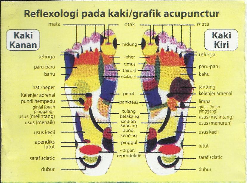 Detox Kaki  Reflexologi Kaki 