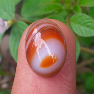 Mustika Pelet Birahi Mustika Pelet Birahi